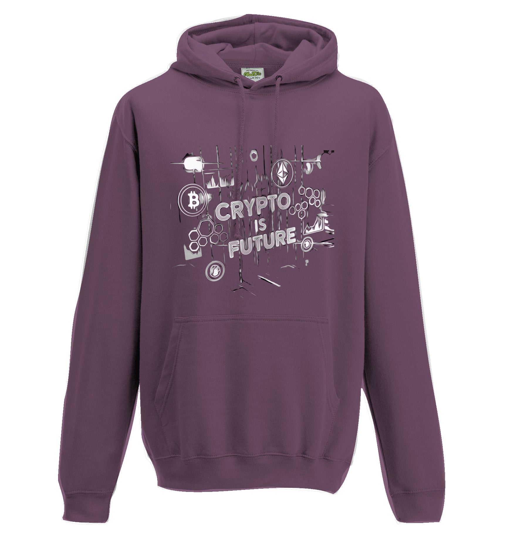 Crypto is Future Hoodie