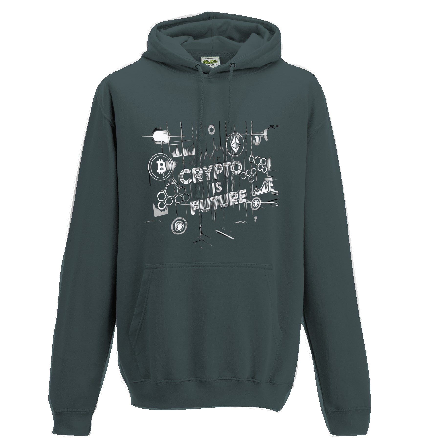 Crypto is Future Hoodie